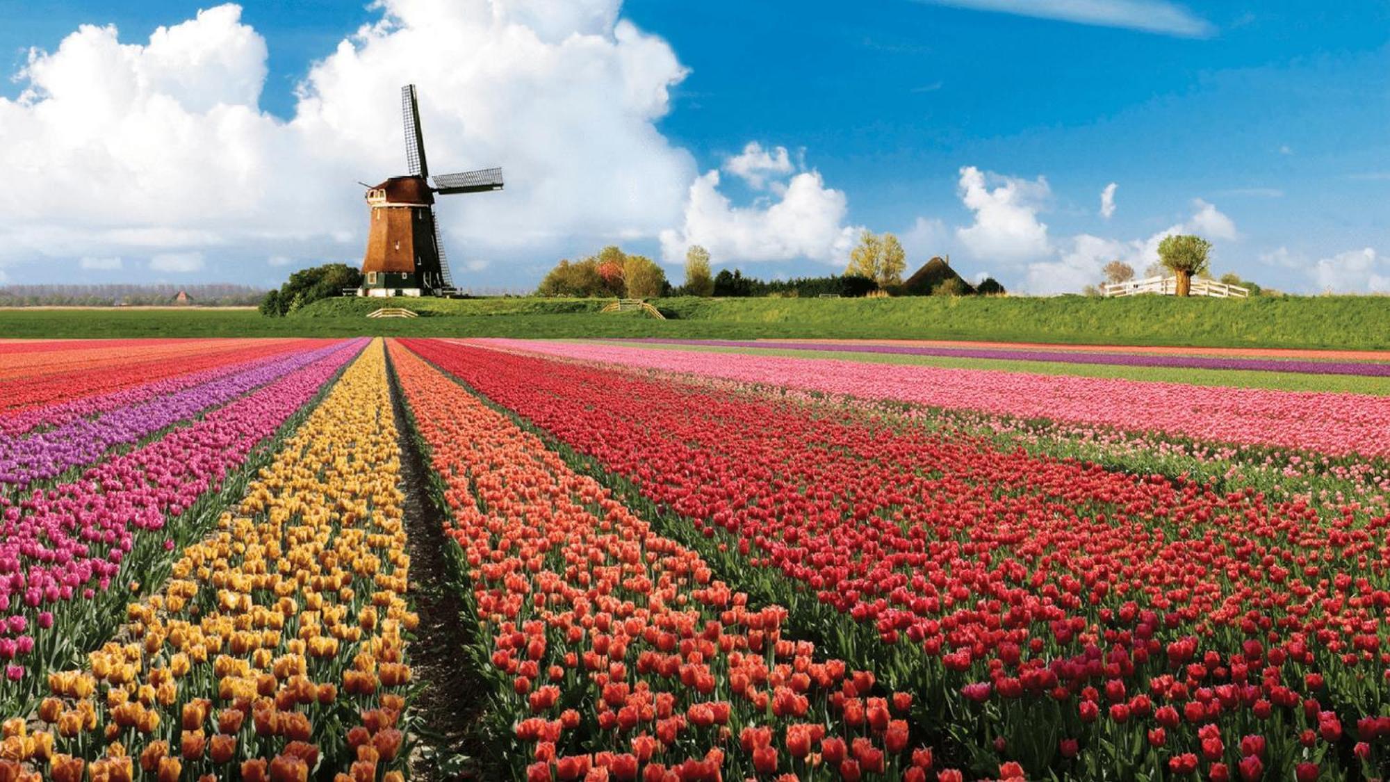 Bed & - Free Parking And Close To Beach! * Noordwijk